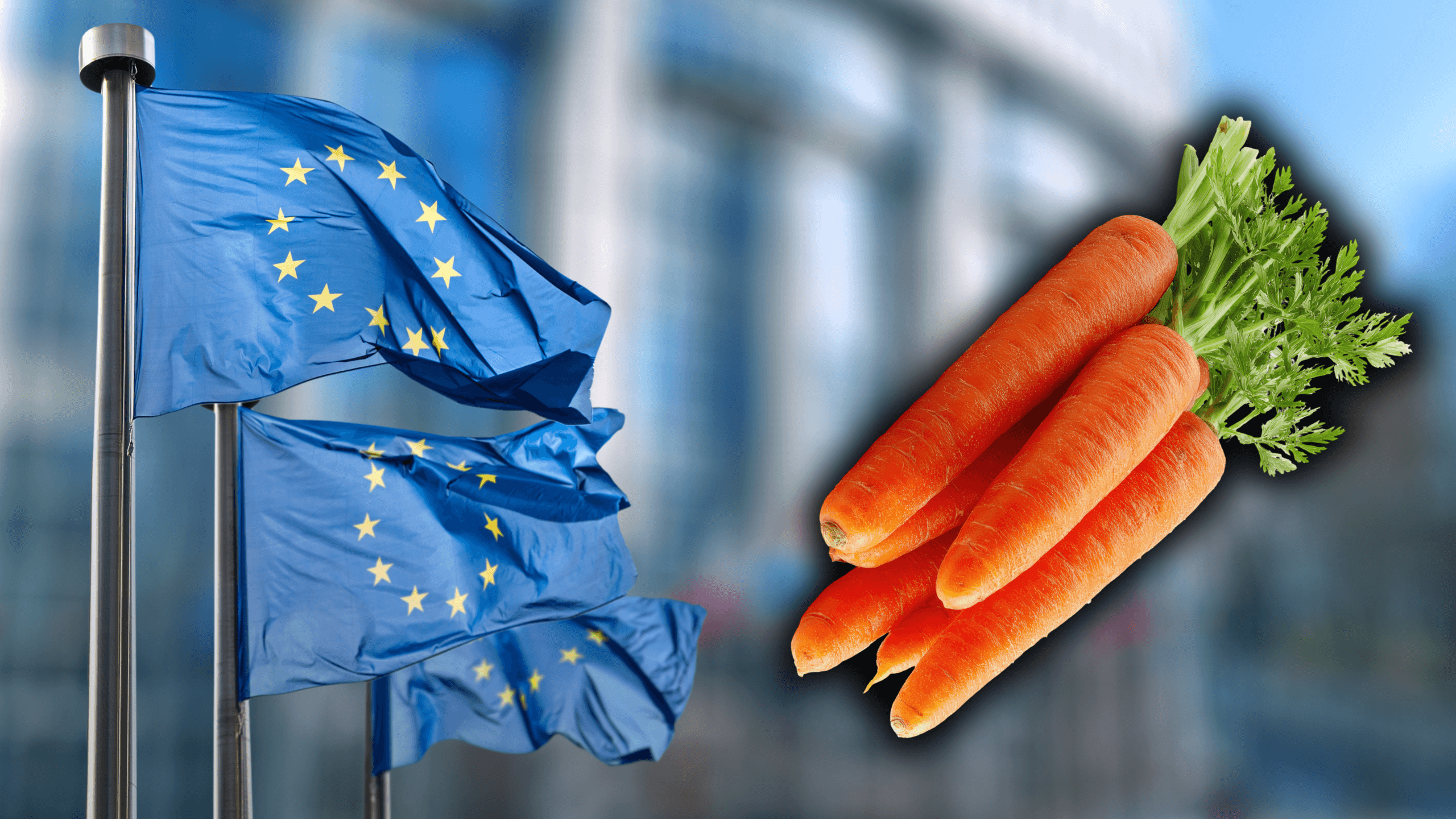 marchewka i Unia Europejska